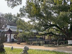 -江心屿景区