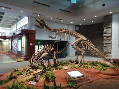 -自贡恐龙博物馆