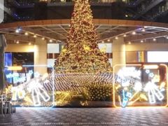 -杭州温德姆至尊豪廷大酒店