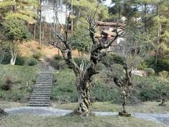 -夏霖九天银瀑风景区