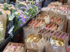 -溪岸路花鸟市场