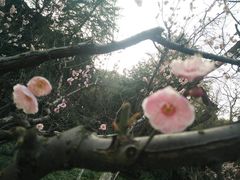 -赭山公园