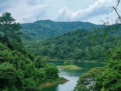 -佛山市三水区大南山森林公园