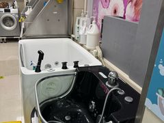 -北京观赏动物医院·24小时大型综合·猫专科·异宠专科
