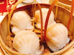 招牌虾饺皇-金鼎轩·滋养小餐馆(联想桥店)