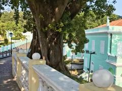 -龙环葡韵住宅式博物馆