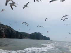 -海驴岛(荣成市)