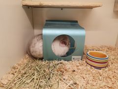 -龙猫仔乐园(惠福东路店)