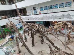 -中国地质大学逸夫博物馆