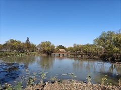 -长兴太湖图影湿地文化园
