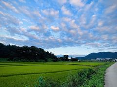 -乐天免税店(明洞店)