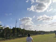 -春花秋色城市公园