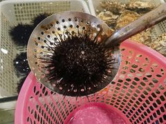 -挪亚海味(金石滩商业中心广场店)