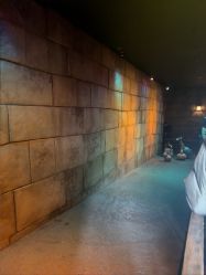 -翱翔飞越地平线