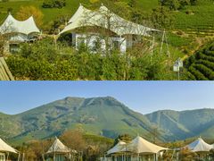 -帐篷客·溪龙茶谷度假酒店