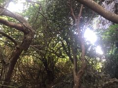 -鹅銮鼻公园