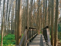 -南京金牛湖风景区