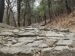 -阳台山自然风景区