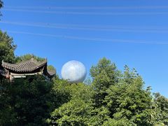 -巴倒烫陆派火锅山庄(南山总店)