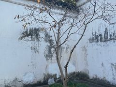 -耦园
