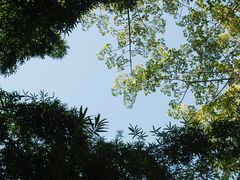 -荔枝公园(福田区)