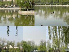 -中国农业博物馆
