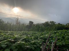 -梁野山景区