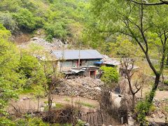 -大岭沟猕猴桃谷风景区