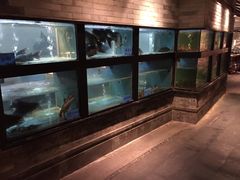 水产区-广东道至正餐厅(区庄店)