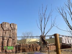 -武汉动物园
