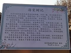-纪晓岚文化园