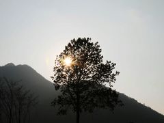 -千岛湖石林