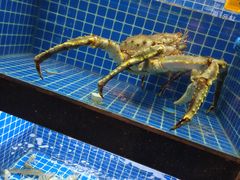 水产区-徽三说·土徽菜·中国徽菜连锁品牌(一中店)