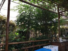 -金稼园·金平湖农家菜