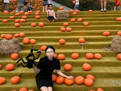 -灵玲国际马戏城