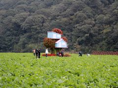 -广州市石门国家森林公园