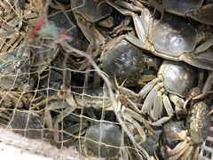 小河蟹母的-北京清河镇农副产品交易市场中心