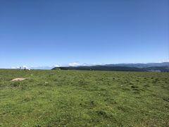 -芦芽山旅游度假区