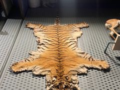 -浙江自然博物院(杭州馆)