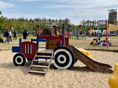 -上海长兴岛郊野公园