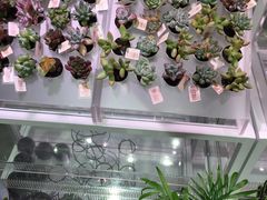 -KKV(深圳宏发大仟里店)