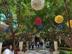 -拉斯维加斯永利酒店