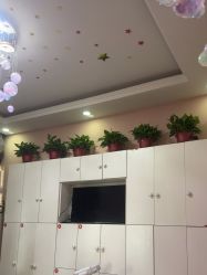 -香薇妮丝·定制减肥·身材管理