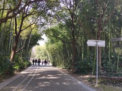 -苏州河梦清园环保主题公园