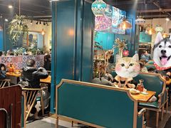 -22号传承新疆菜·柴窝堡辣子鸡