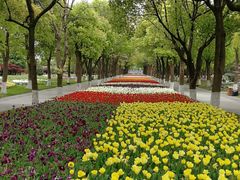 -上海鲜花港
