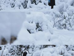 -叠溪松坪沟景区