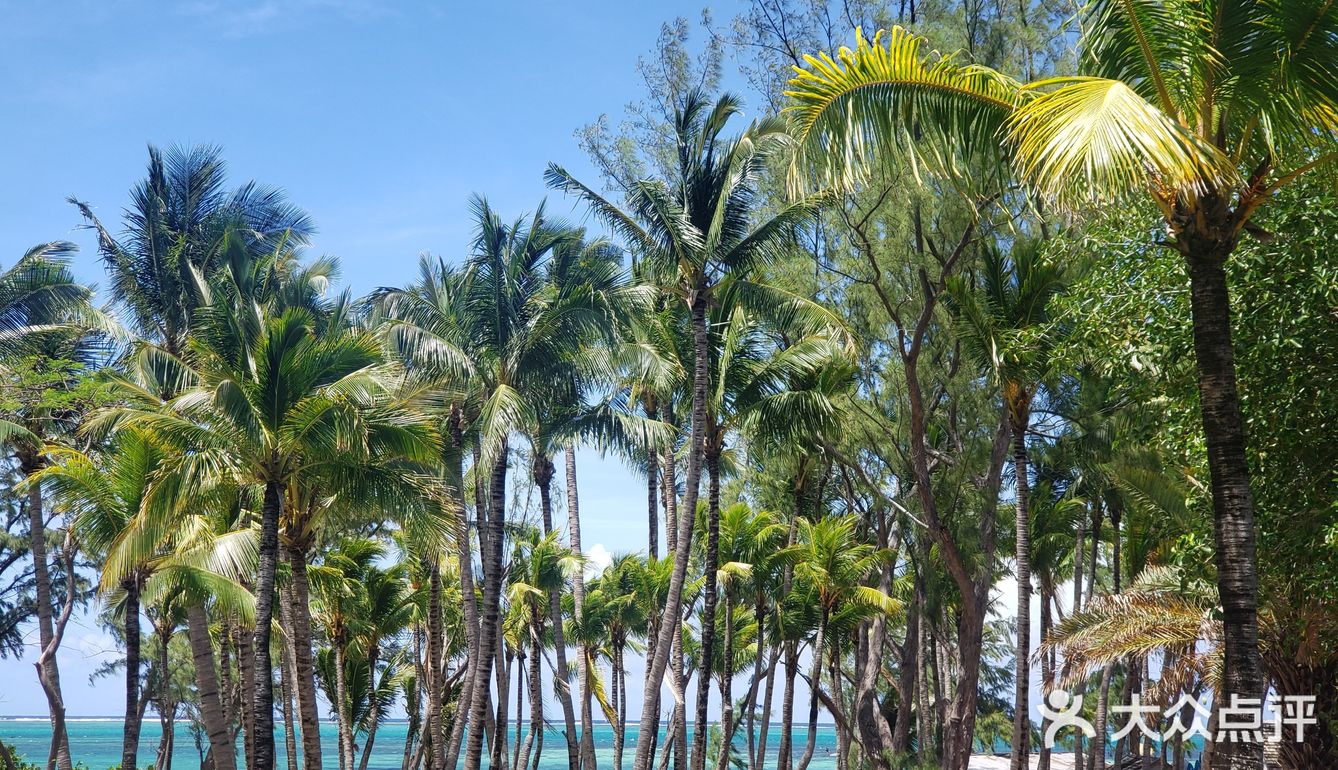 后2个是需要预约的，其实我觉得差别不大