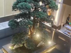 -外滩·云南人家(昆明旗舰店)