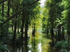 -广州市白云山风景名胜区